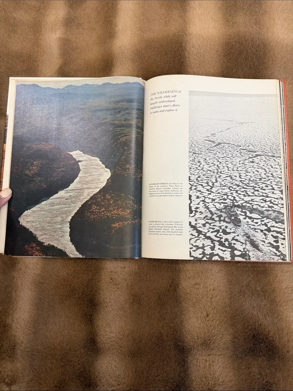 Life World Library Books